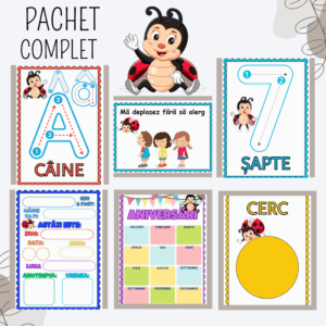 Pachet Educațional Complet pentru Clasă și Acasă Buburuze