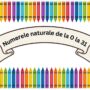 Panou Numere 0–31 – Set Educațional Digital Printabil pentru Clasă și Acasă